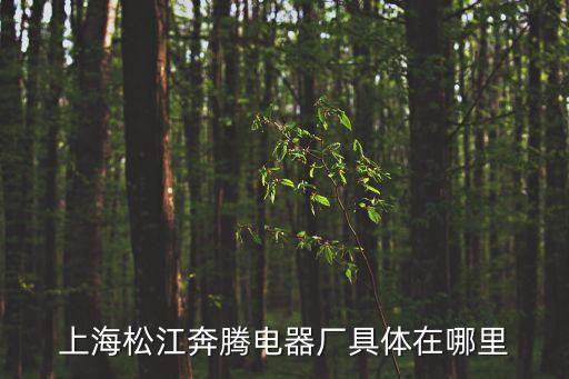 上海松江奔騰電器廠具體在哪里