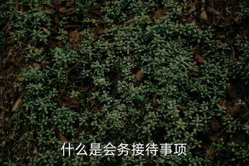什么是會務接待事項