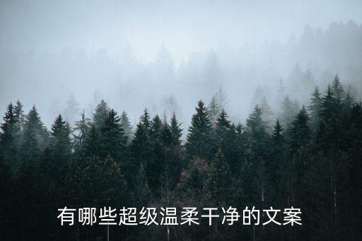 有哪些超級溫柔干凈的文案
