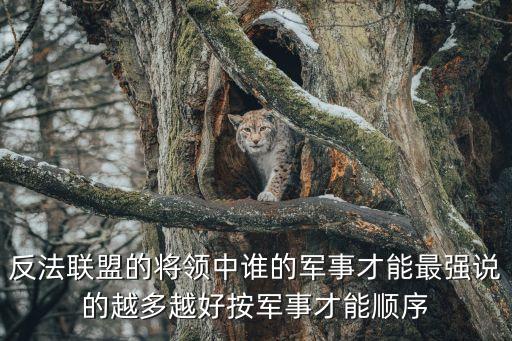 反法聯盟的將領中誰的軍事才能最強說的越多越好按軍事才能順序