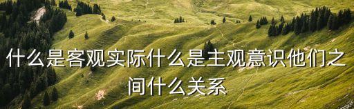 什么是客觀實際什么是主觀意識他們之間什么關系