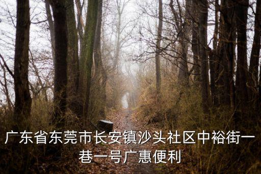 廣東省東莞市長安鎮沙頭社區中裕街一巷一號廣惠便利