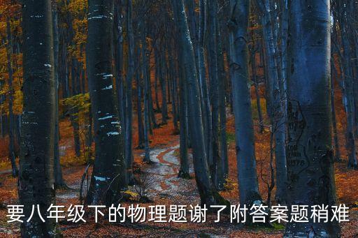 要八年級下的物理題謝了附答案題稍難