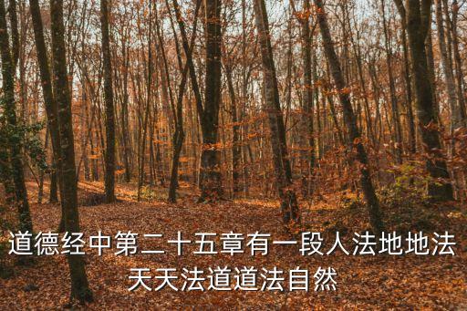 道德經中第二十五章有一段人法地地法天天法道道法自然