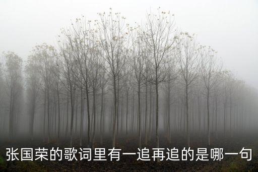 張國榮的歌詞里有一追再追的是哪一句