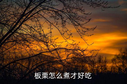 板栗怎么煮才好吃