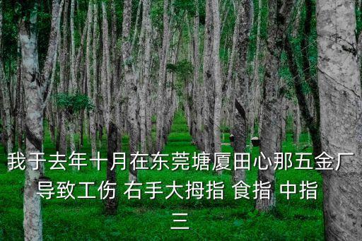 我于去年十月在東莞塘廈田心那五金廠導(dǎo)致工傷 右手大拇指 食指 中指 三