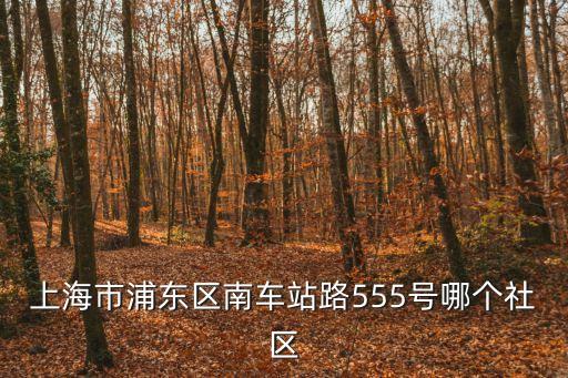 上海市浦東區南車站路555號哪個社區