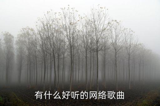 有什么好聽的網絡歌曲