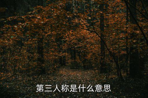 第三人稱是什么意思