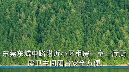 東莞東城中路附近小區(qū)租房一室一廳廚房衛(wèi)生間陽臺安全方便