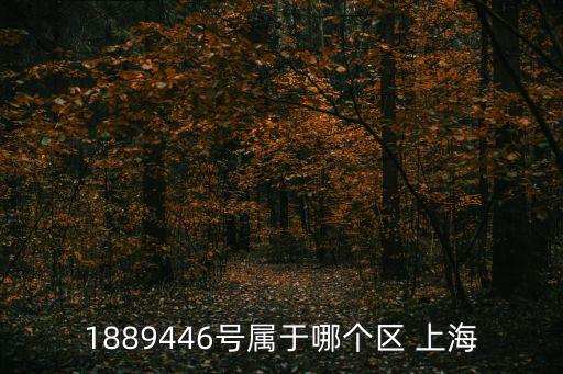 1889446號屬于哪個區 上海