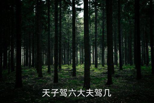 天子駕六大夫駕幾