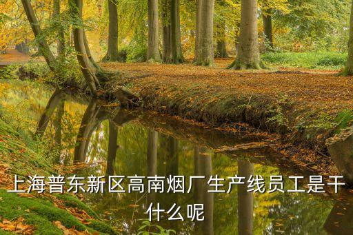 上海市高南制廠，上海普東新區高南煙廠生產線員工是干什么呢
