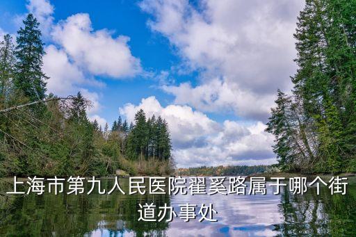 上海市第九人民醫(yī)院翟奚路屬于哪個(gè)街道辦事處
