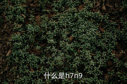 什么是h7n9