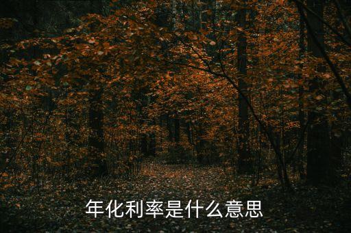 年化利率是什么意思