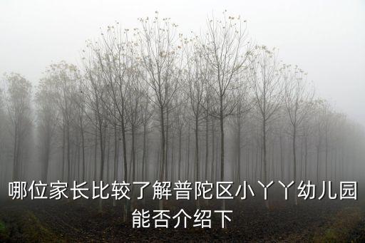 哪位家長比較了解普陀區小丫丫幼兒園能否介紹下
