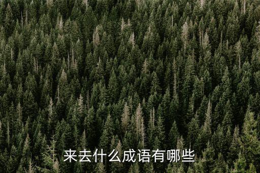 來去的成語，來 去 的成語