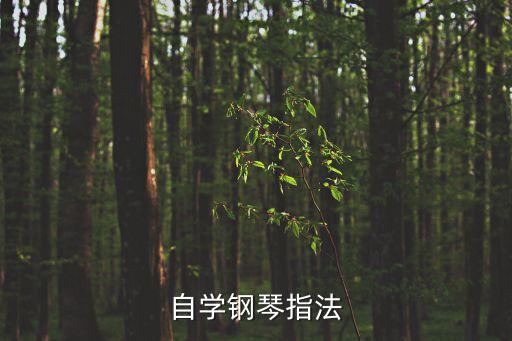 自學鋼琴指法