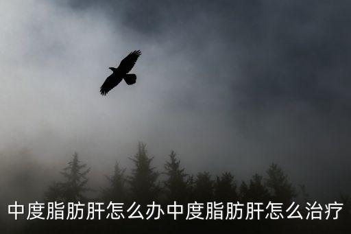 中度脂肪肝怎么辦中度脂肪肝怎么治療