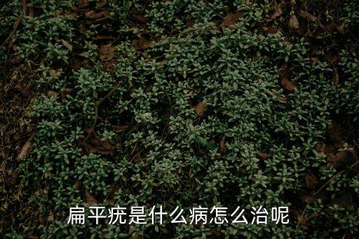 扁平疣是什么病怎么治呢