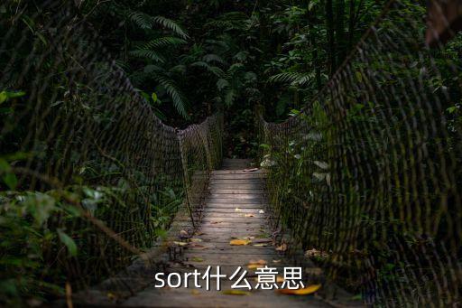 sort什么意思