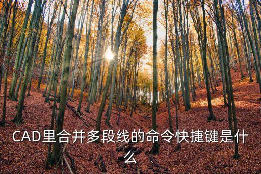 cad線，cad怎么畫螺紋線