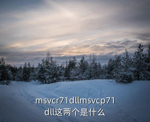 msvcr71dllmsvcp71dll這兩個是什么