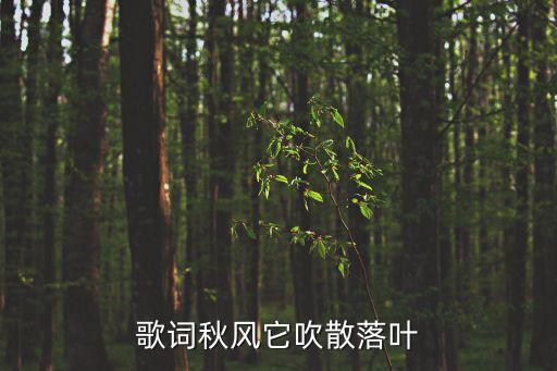 歌詞秋風它吹散落葉