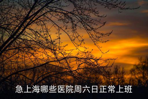 上海市周末開的門診，在上海星期天有醫院門診么