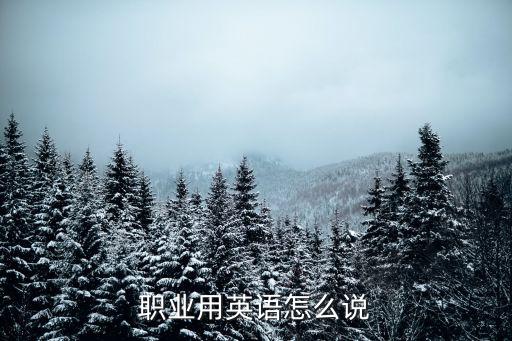 職業(yè)用英語怎么說