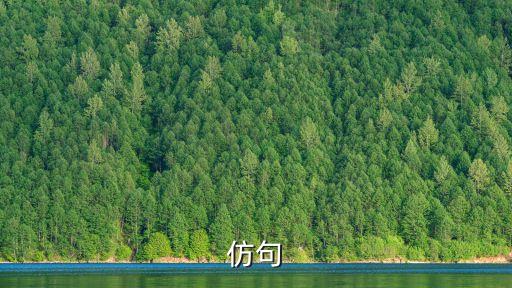 仿句大全，仿寫句子