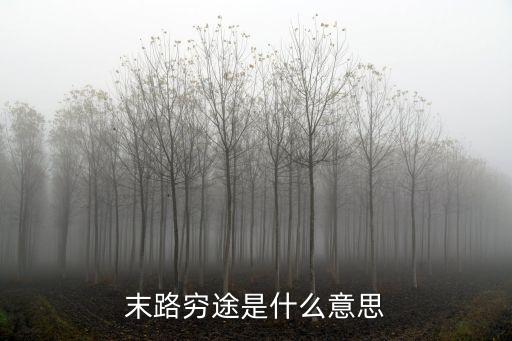 窮途末路的意思，窮途未路的意思