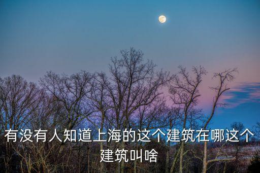 有沒有人知道上海的這個建筑在哪這個建筑叫啥
