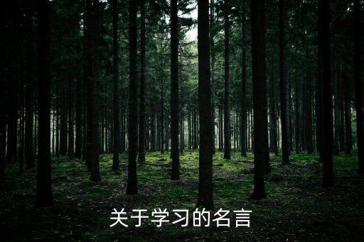 名人名言學(xué)習(xí)，學(xué)習(xí)的名人名言