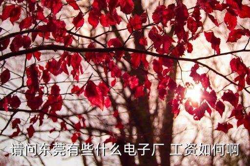請問東莞有些什么電子廠 工資如何啊