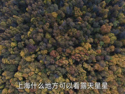 上海什么地方可以看露天星星