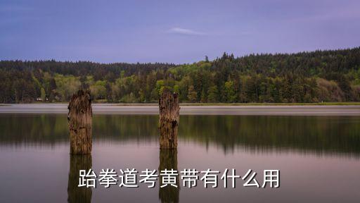 跆拳道考黃帶有什么用