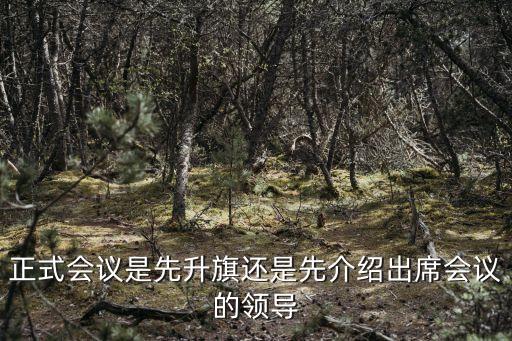 正式會議是先升旗還是先介紹出席會議的領(lǐng)導(dǎo)