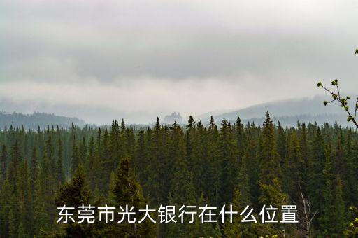 東莞市光大銀行在什么位置