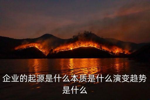 企業的起源是什么本質是什么演變趨勢是什么