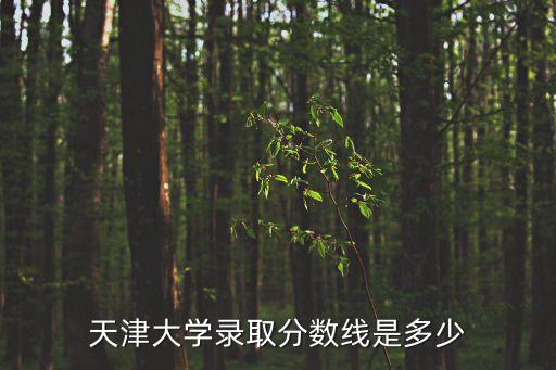 天津大學錄取分數線是多少