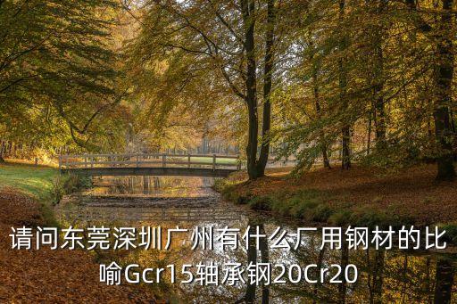 請問東莞深圳廣州有什么廠用鋼材的比喻Gcr15軸承鋼20Cr20