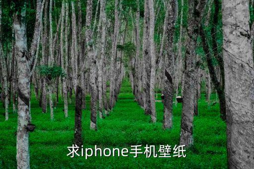 求iphone手機壁紙