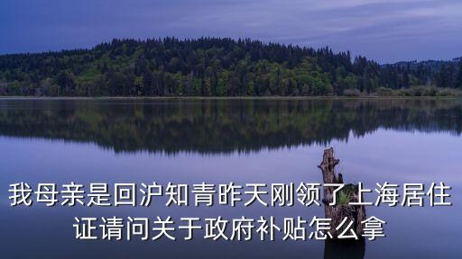 我母親是回滬知青昨天剛領了上海居住證請問關于政府補貼怎么拿
