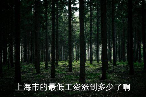 上海市的最低工資漲到多少了啊