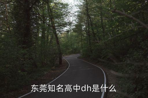 東莞知名高中dh是什么