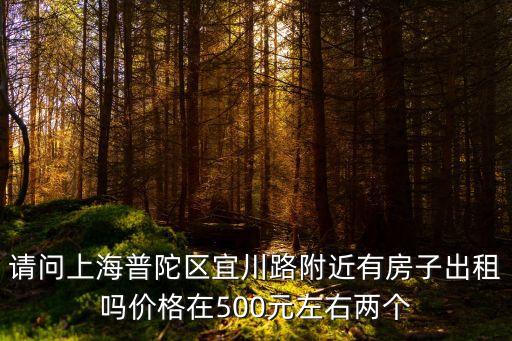 請問上海普陀區(qū)宜川路附近有房子出租嗎價格在500元左右兩個