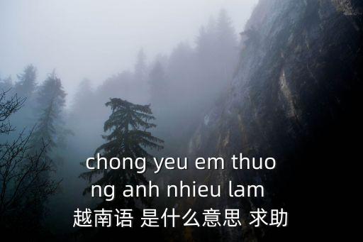 chong yeu em thuong anh nhieu lam 越南語(yǔ) 是什么意思 求助